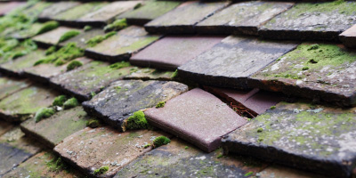 Mynydd Bach roof repair costs